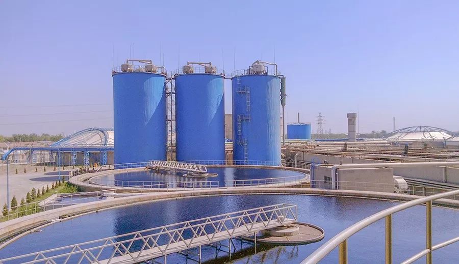 5c1c63b4d3324.jpg 2.jpg