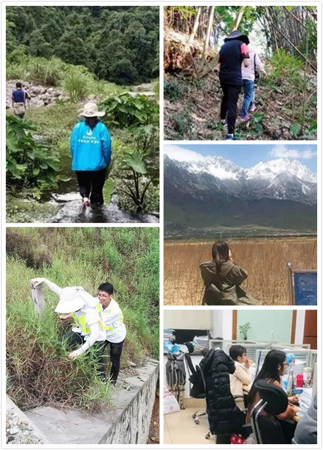 5d4c6558c6d2b.jpg 3.jpg