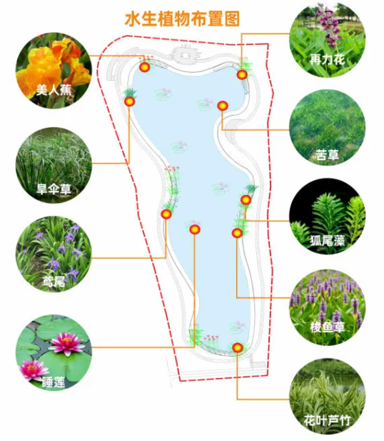 5f1dcf18192c2.png 55.png